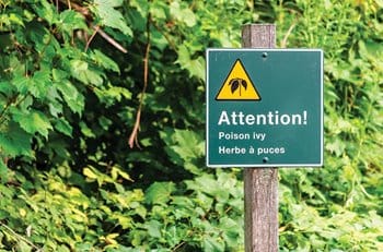 The Poison Ivy Prevention Tip Most People Miss
